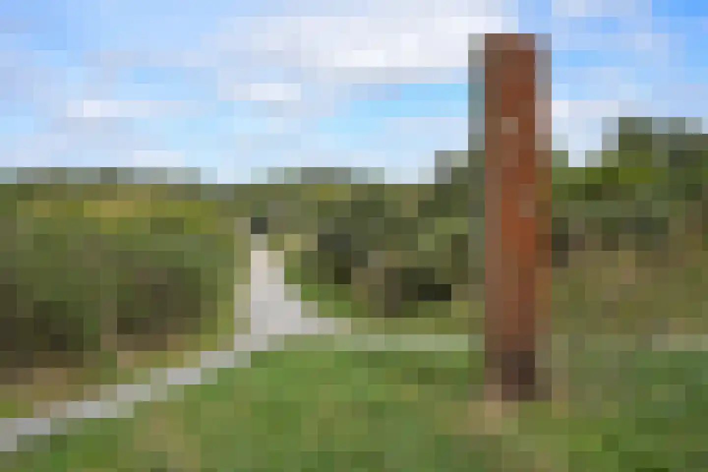 Hoornse Hop 7 Den Haag thumbnail 42