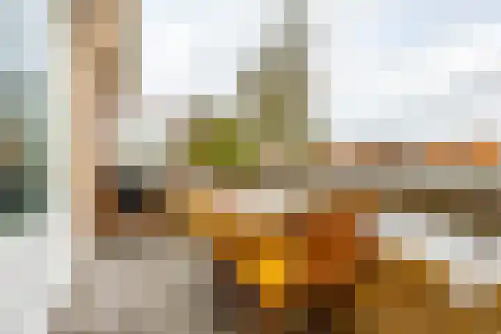 Hoornsediep 105 Groningen thumbnail 10