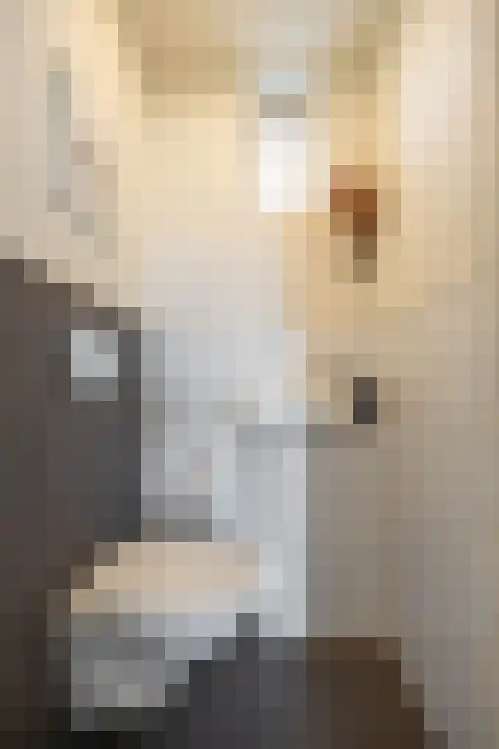 Hoornsediep 105 Groningen thumbnail 11
