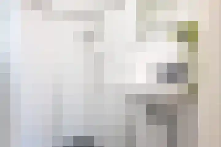 Hoornsediep 140 Groningen thumbnail 14
