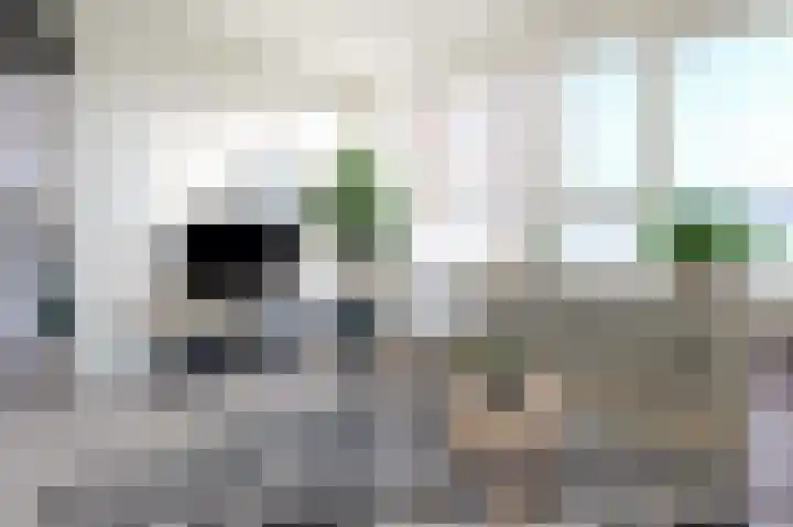Hoornsediep 140 Groningen thumbnail 8