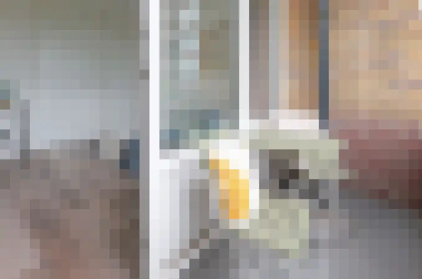 Hoornsediep 142 Groningen thumbnail 12