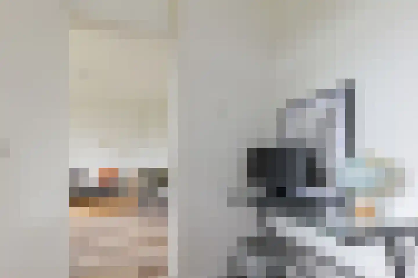 Hoornsediep 142 Groningen thumbnail 13