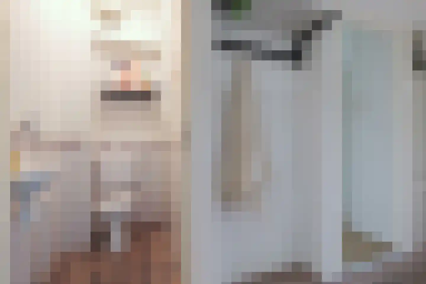 Hoornsediep 142 Groningen thumbnail 19