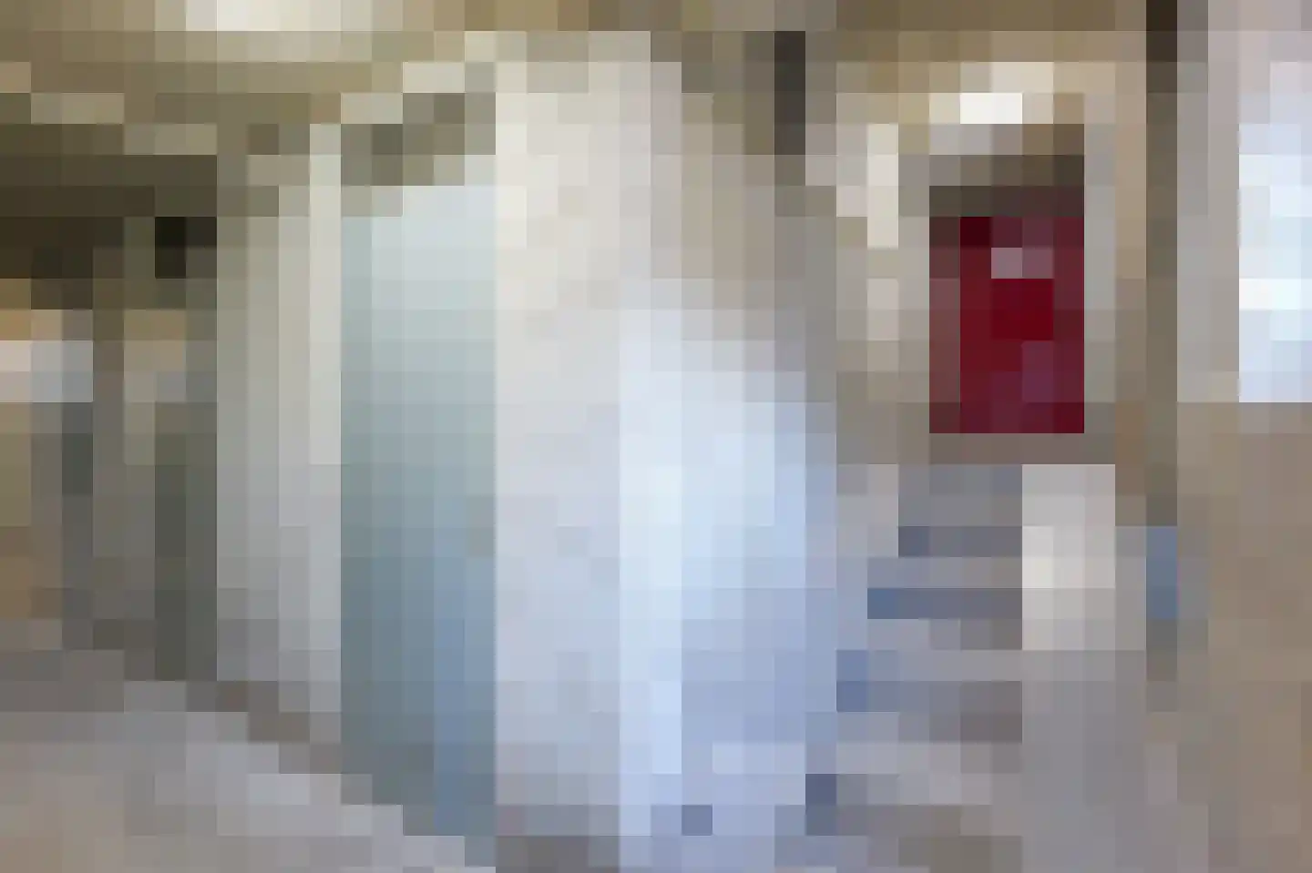 Hoornsediep 142 Groningen thumbnail 21