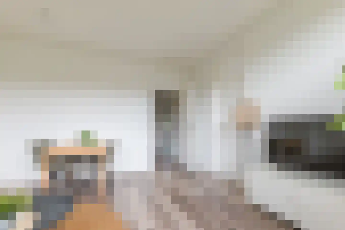 Hoornsediep 142 Groningen thumbnail 9