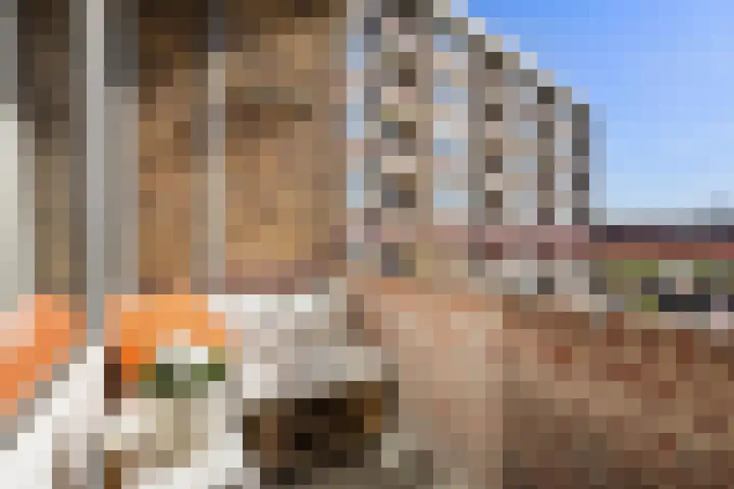 Hoornsediep 170 Groningen thumbnail 18