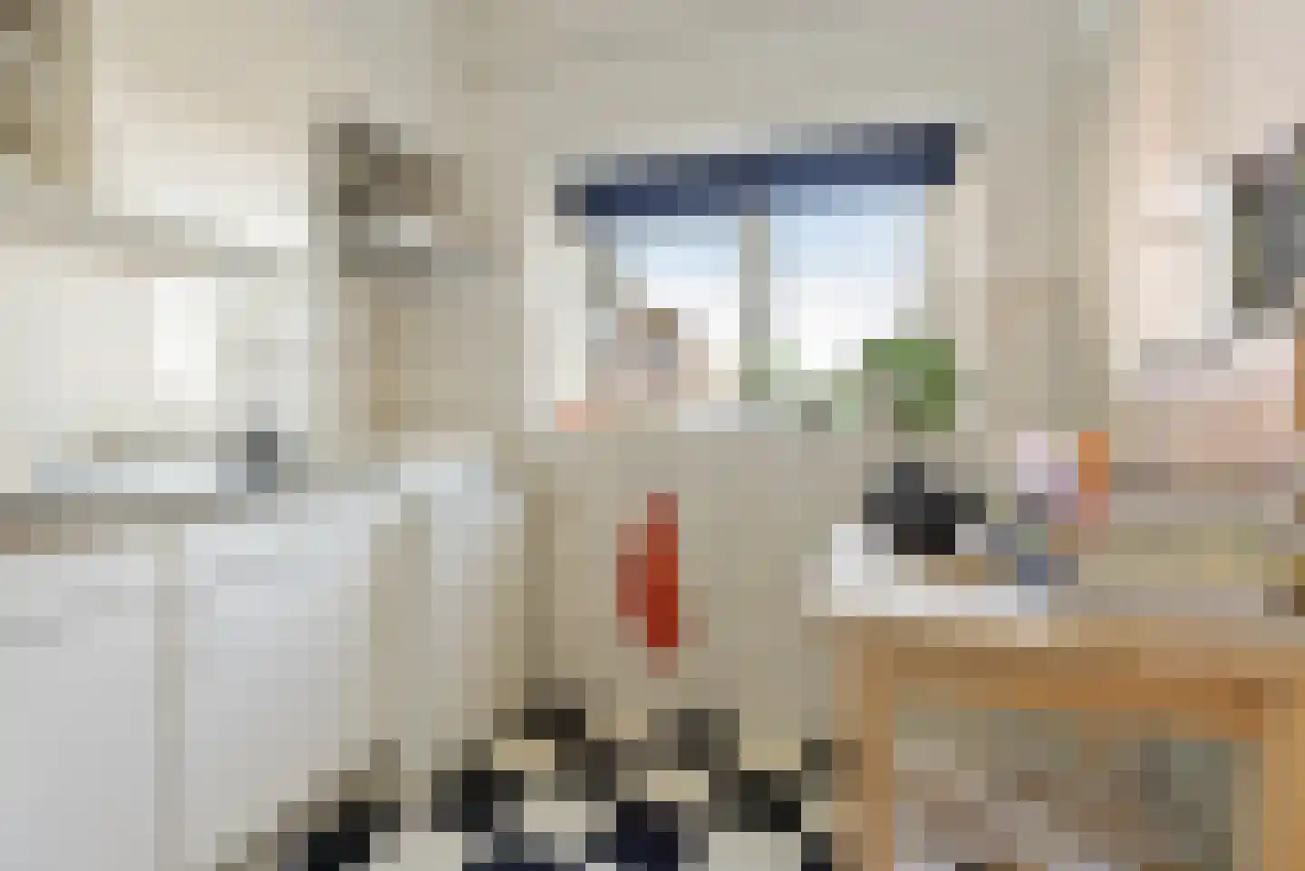 Hoornsediep 170 Groningen thumbnail 20
