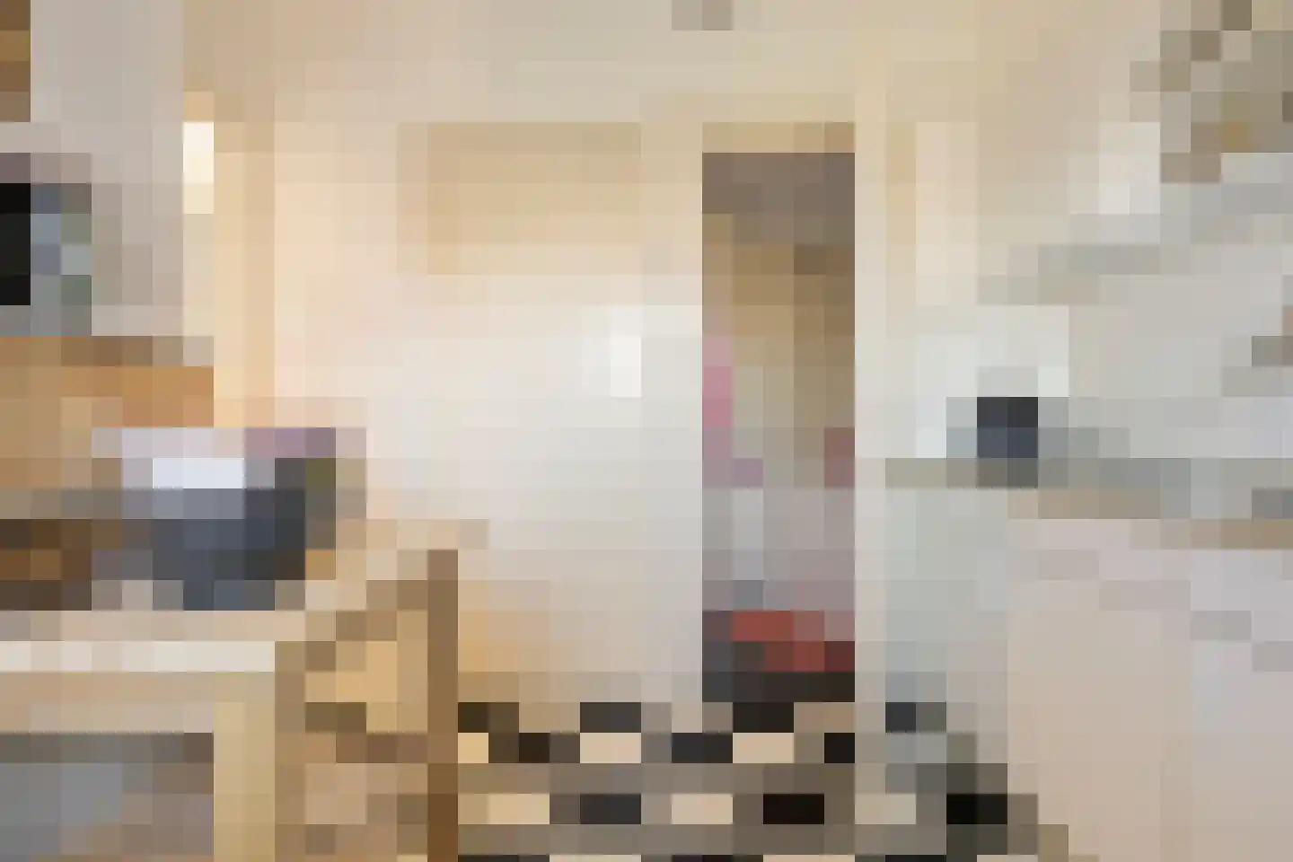 Hoornsediep 170 Groningen thumbnail 21