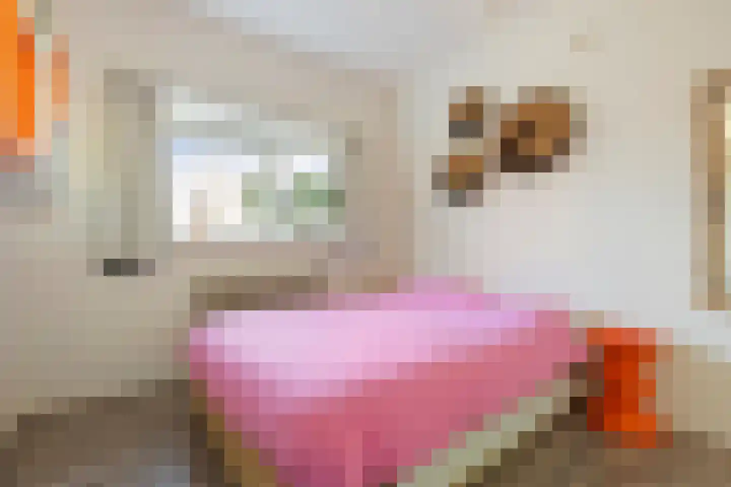 Hoornsediep 170 Groningen thumbnail 26