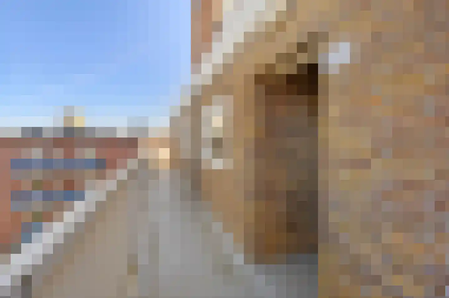Hoornsediep 170 Groningen thumbnail 28