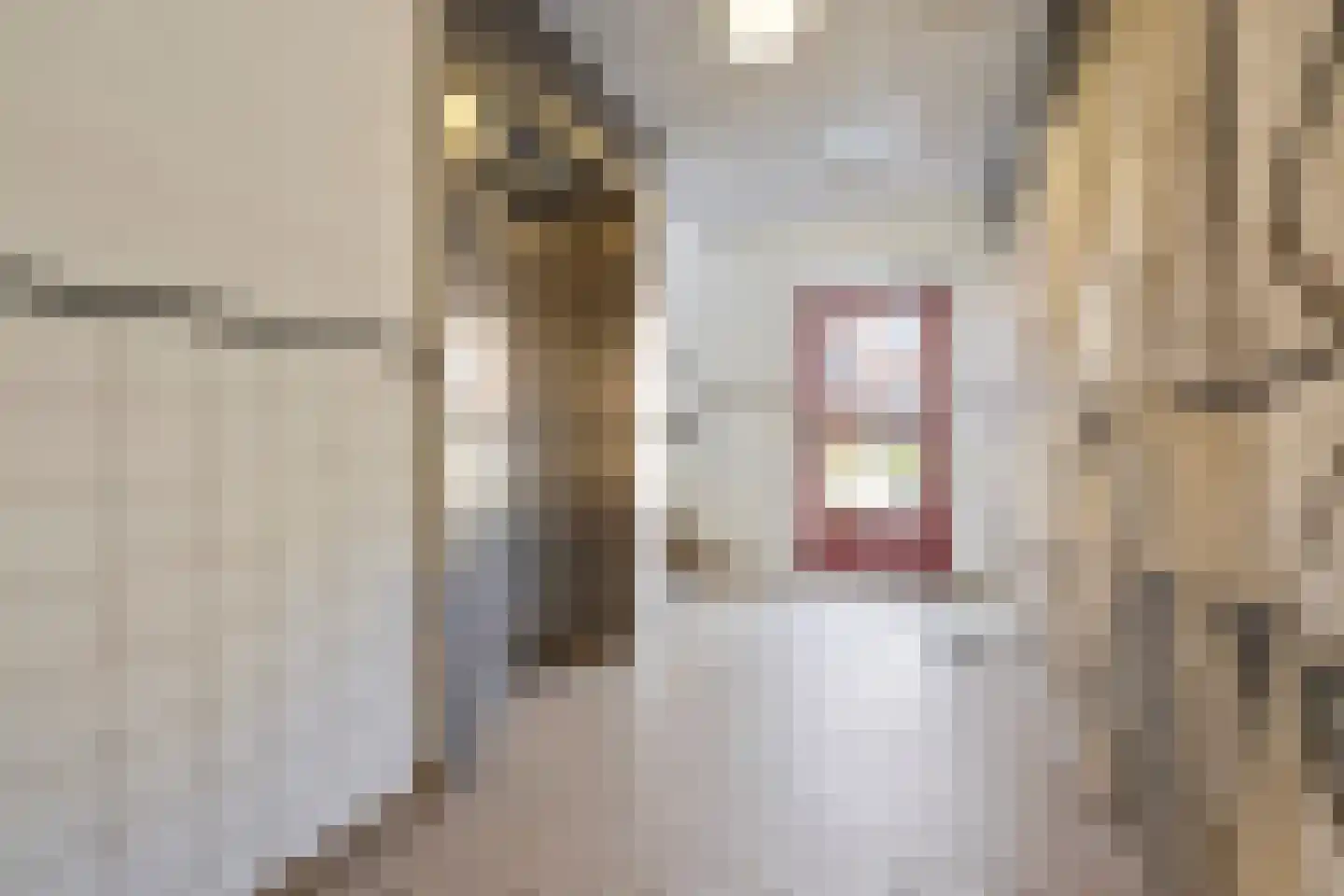 Hoornsediep 170 Groningen thumbnail 30