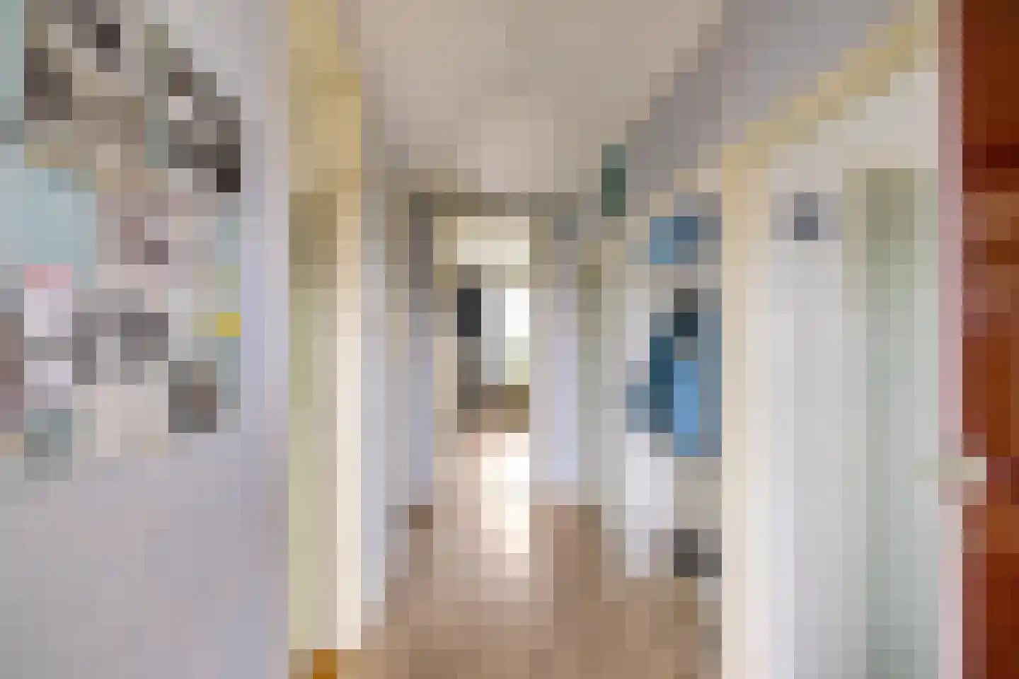 Hoornsediep 178 Groningen thumbnail 9