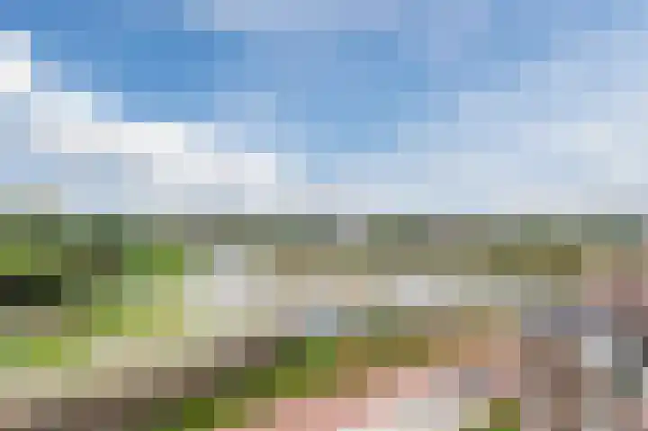 Hoornsediep 200 Groningen thumbnail 19