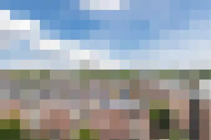 Hoornsediep 200 Groningen thumbnail 24