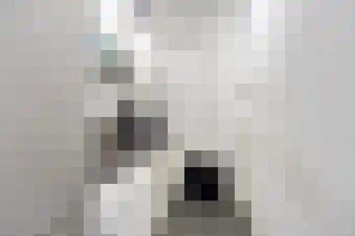 Hoornsediep 28 a Groningen thumbnail 12