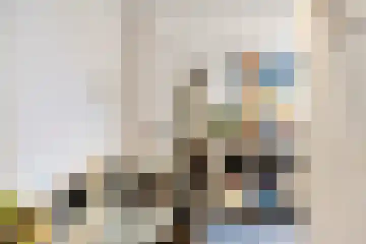 Hoornsediep 28 a Groningen thumbnail 20