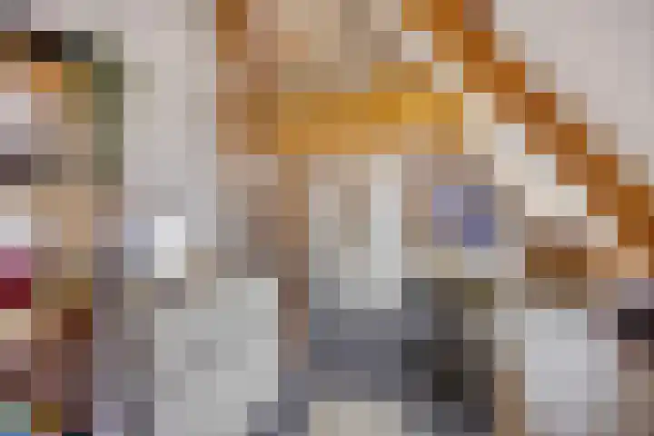 Hoornsediep 28 a Groningen thumbnail 24