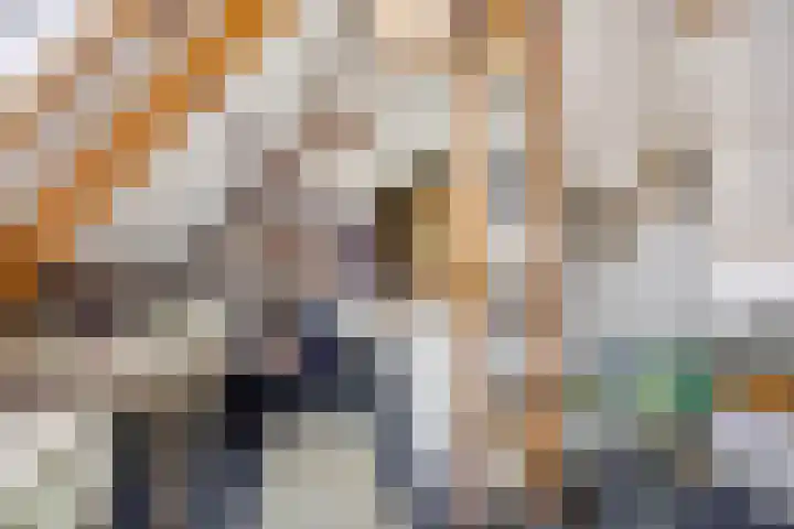 Hoornsediep 28 a Groningen thumbnail 25