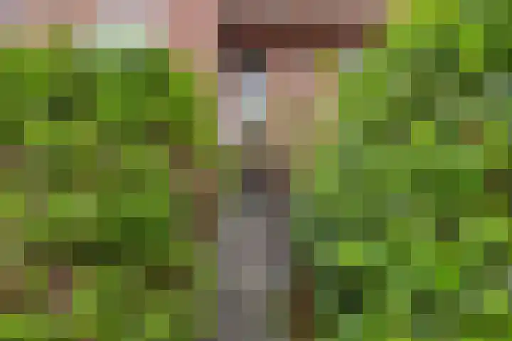 Hoornsediep 28 a Groningen thumbnail 5