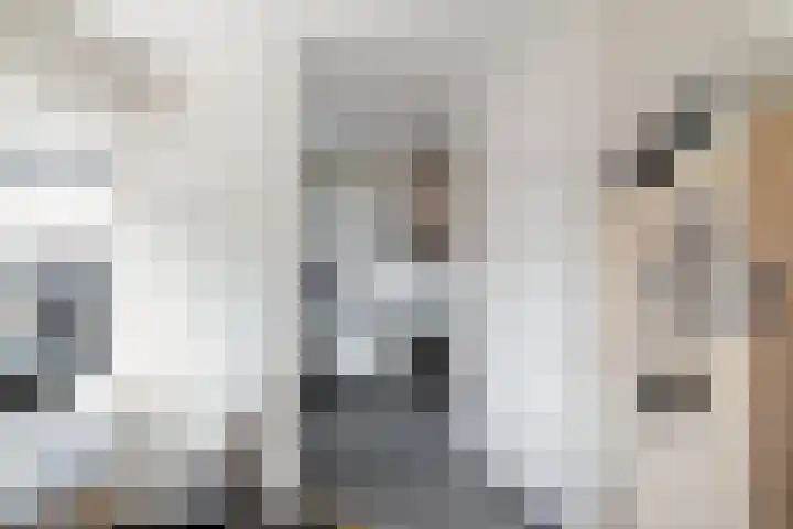 Hoornsediep 34 Groningen thumbnail 11