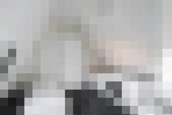 Hoornsediep 34 Groningen thumbnail 29