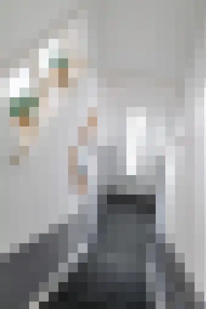 Hoornsediep 34 Groningen thumbnail 31