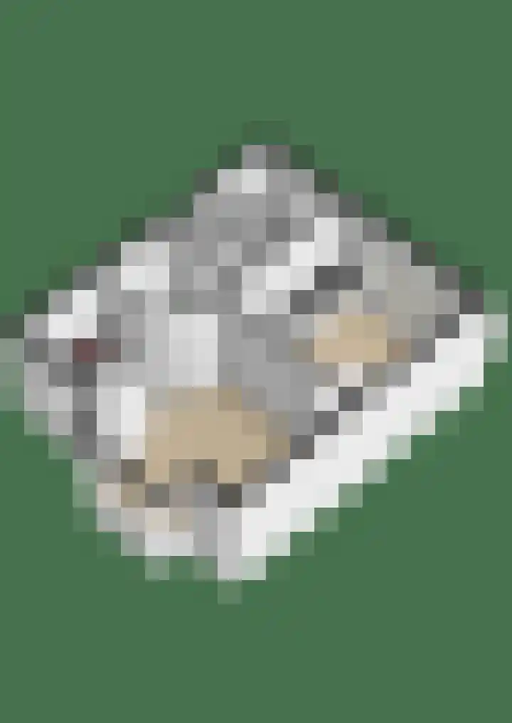 Hoornsediep 34 Groningen thumbnail 39
