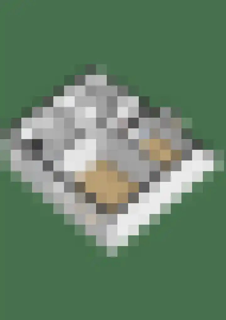 Hoornsediep 34 Groningen thumbnail 40