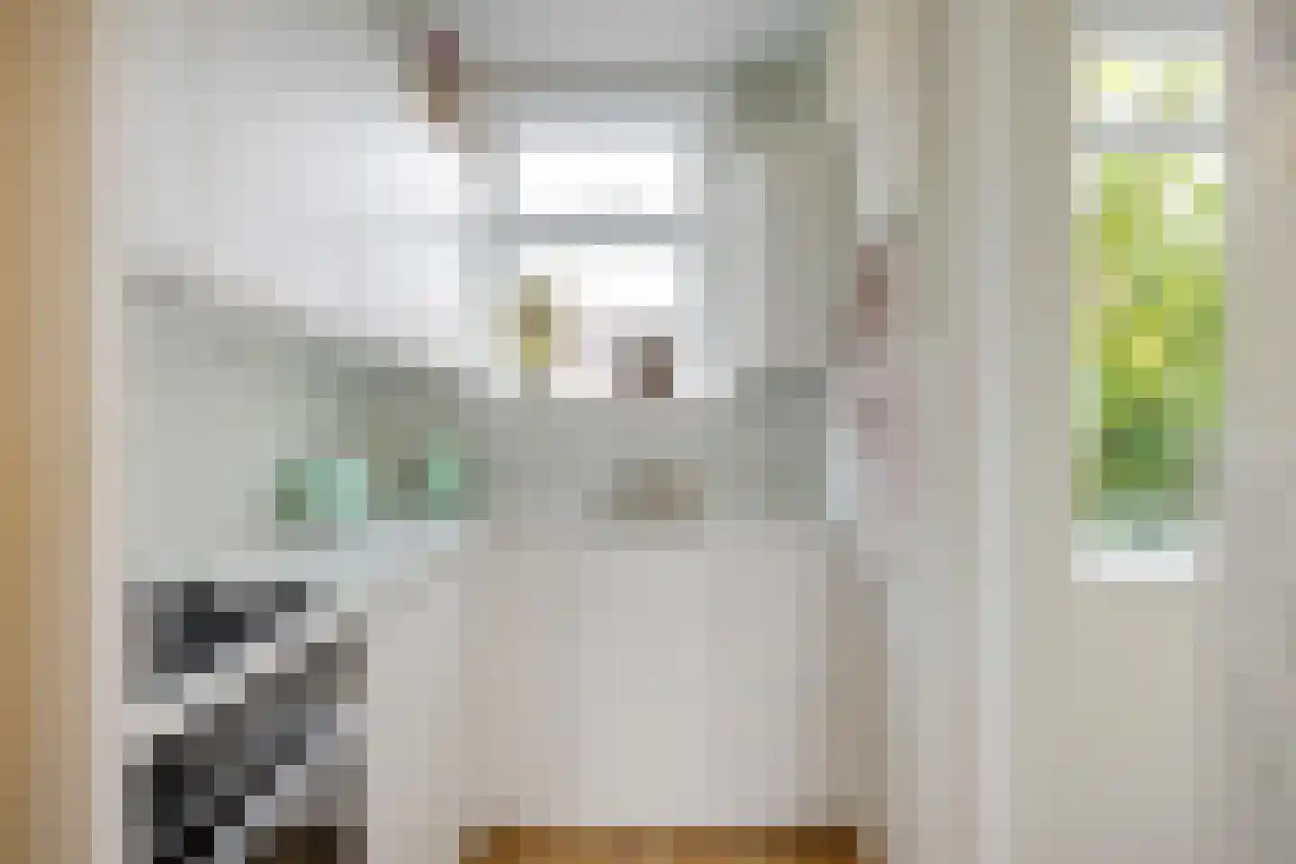 Hoornsediep 42 b Groningen thumbnail 25