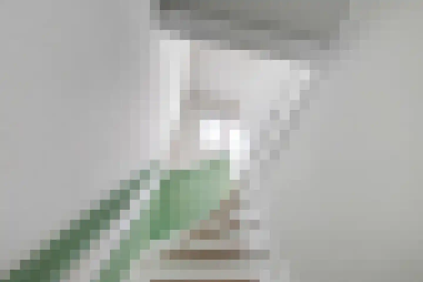 Hoornsediep 42 b Groningen thumbnail 30