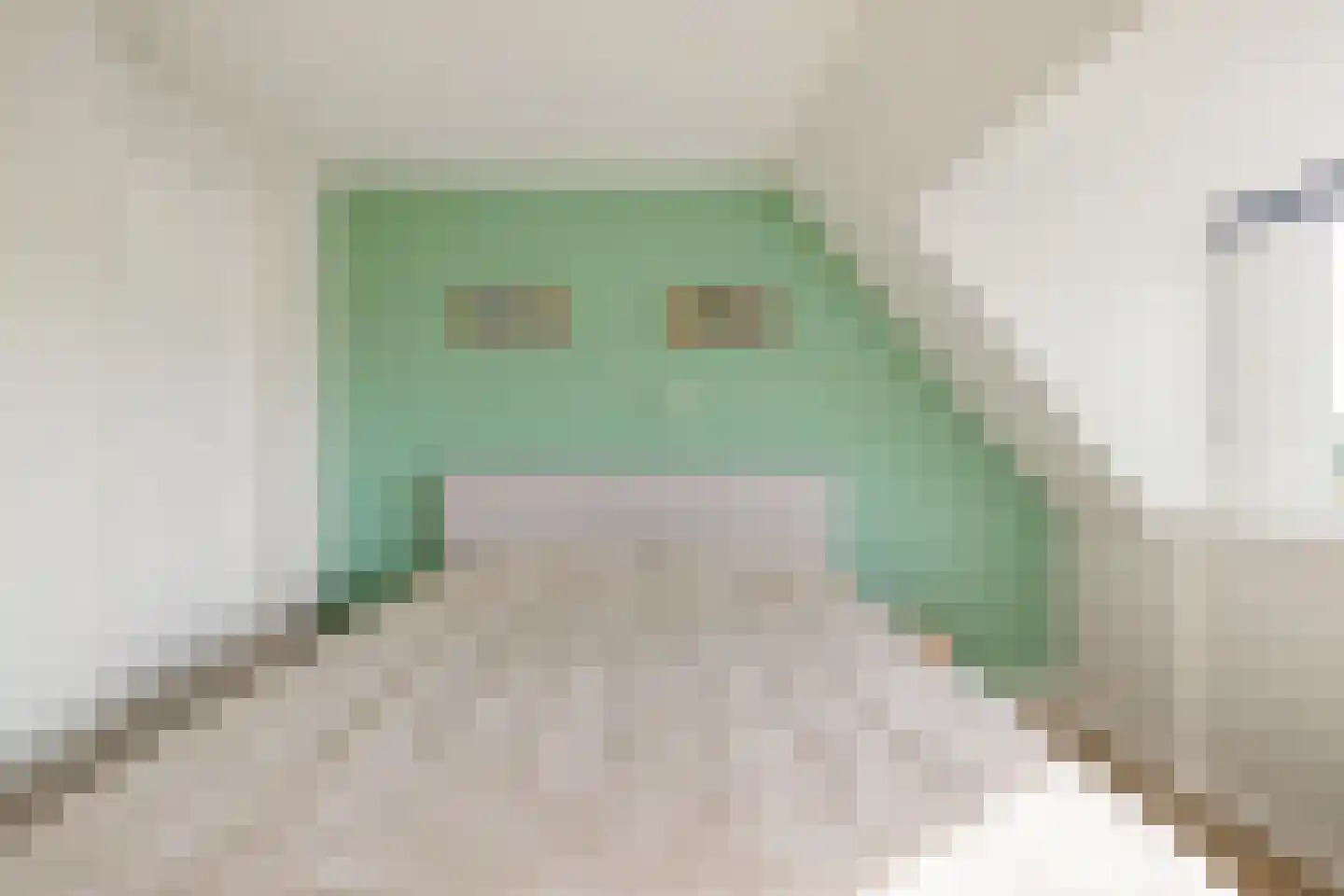 Hoornsediep 42 b Groningen thumbnail 33