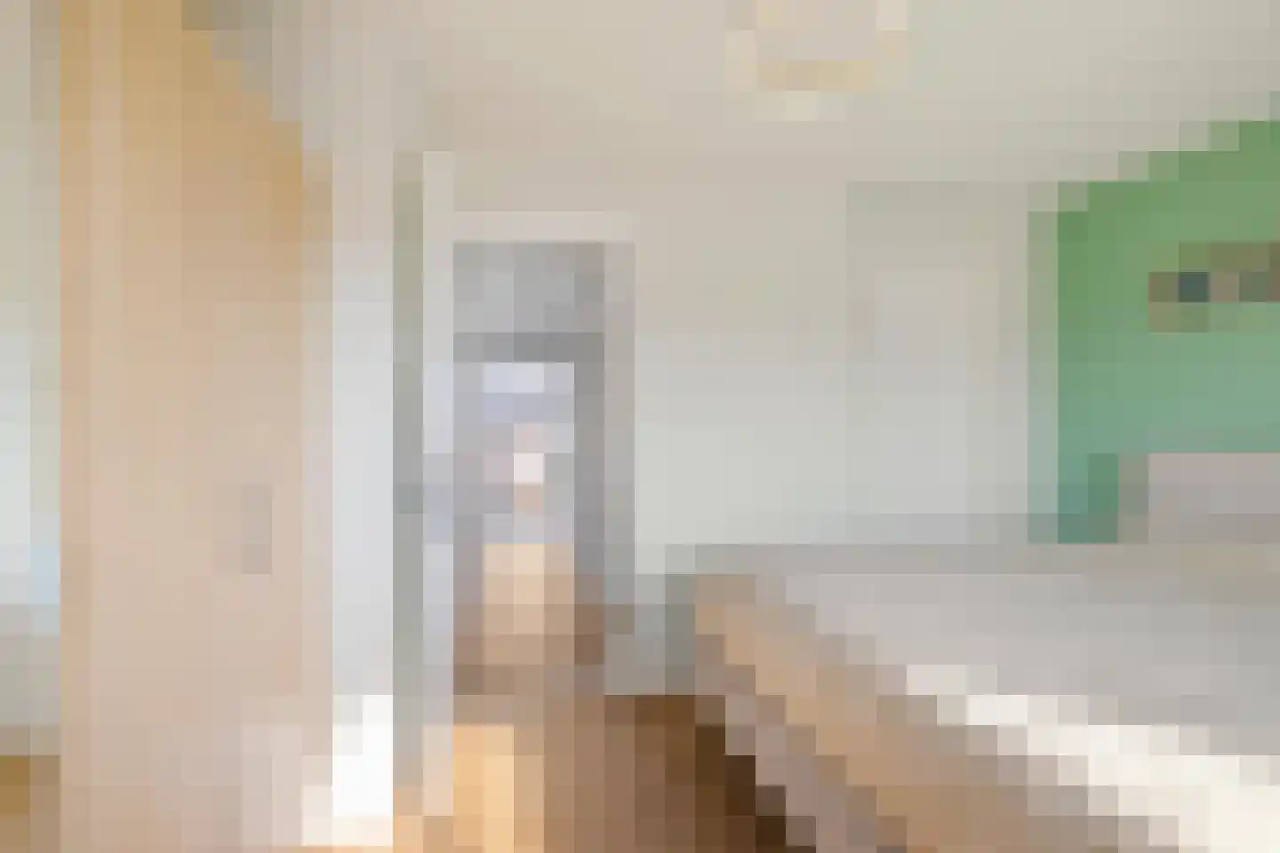Hoornsediep 42 b Groningen thumbnail 34