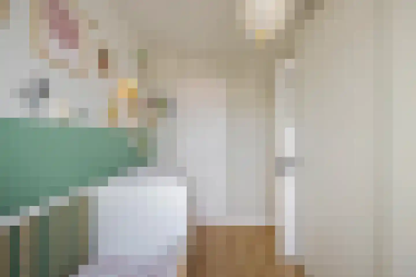 Hoornsediep 42 b Groningen thumbnail 38