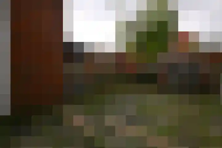 Hoornsediep 7 Groningen thumbnail 14