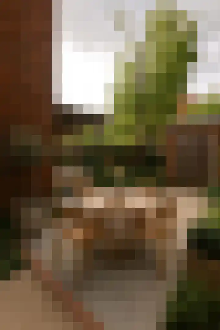 Hoornsediep 7 Groningen thumbnail 15
