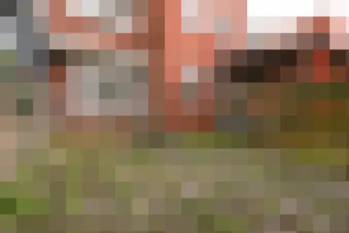 Hoornsediep 7 Groningen thumbnail 16