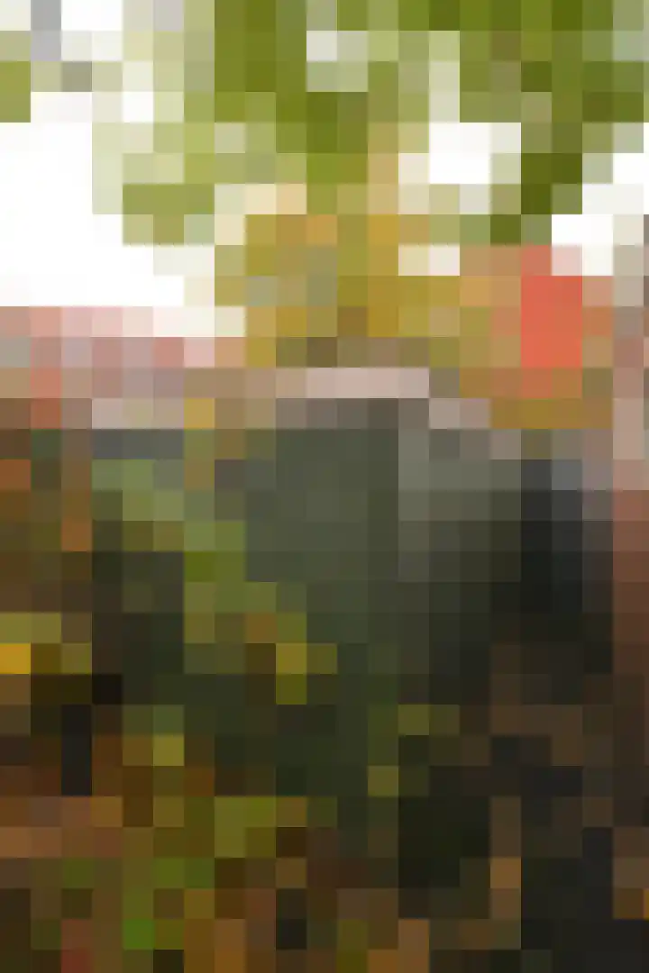 Hoornsediep 7 Groningen thumbnail 17