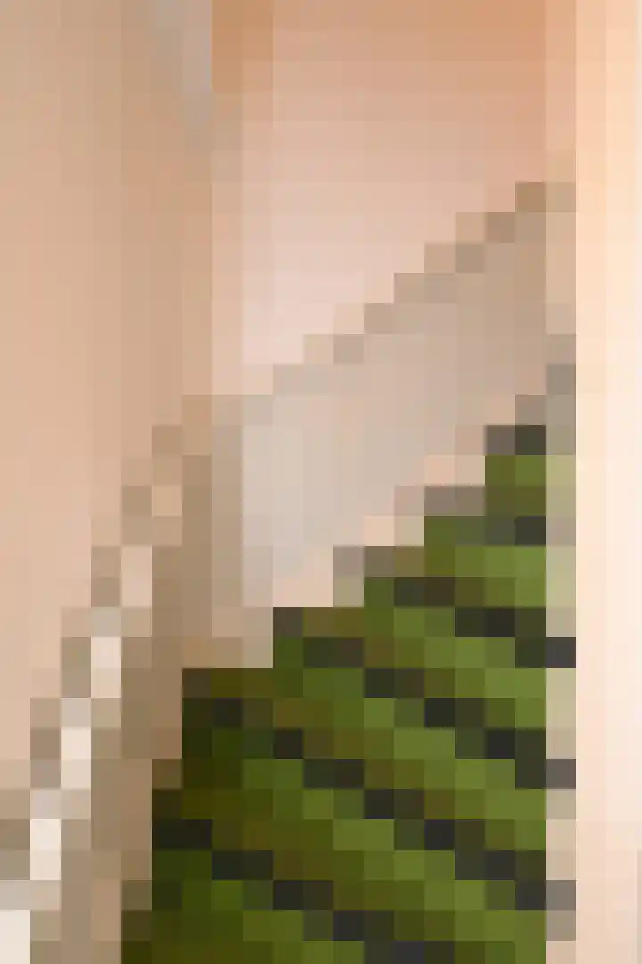 Hoornsediep 7 Groningen thumbnail 22