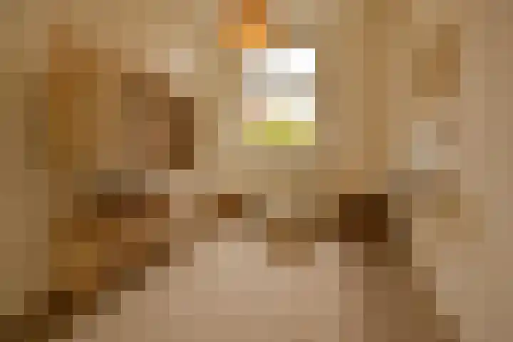 Hoornsediep 7 Groningen thumbnail 24