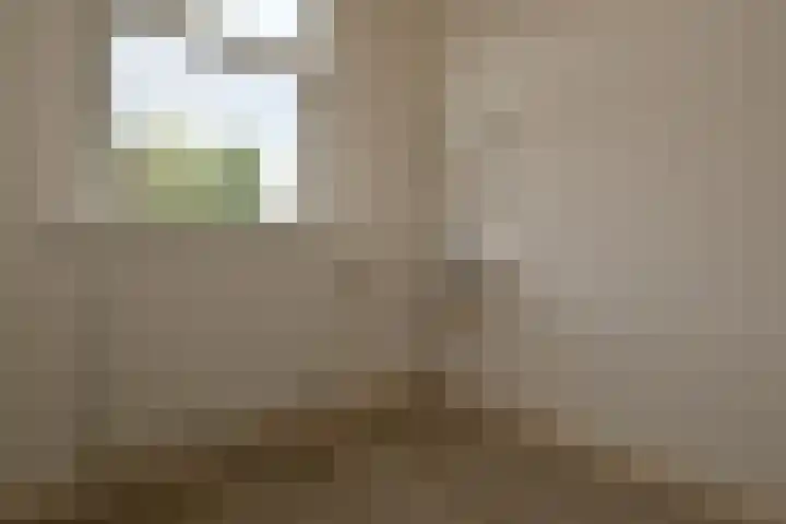 Hoornsediep 7 Groningen thumbnail 25