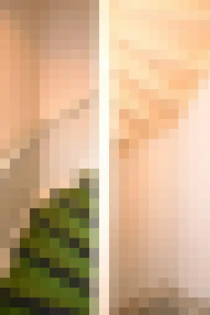 Hoornsediep 7 Groningen thumbnail 27