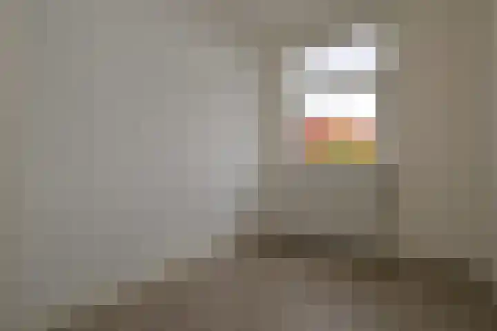 Hoornsediep 7 Groningen thumbnail 28