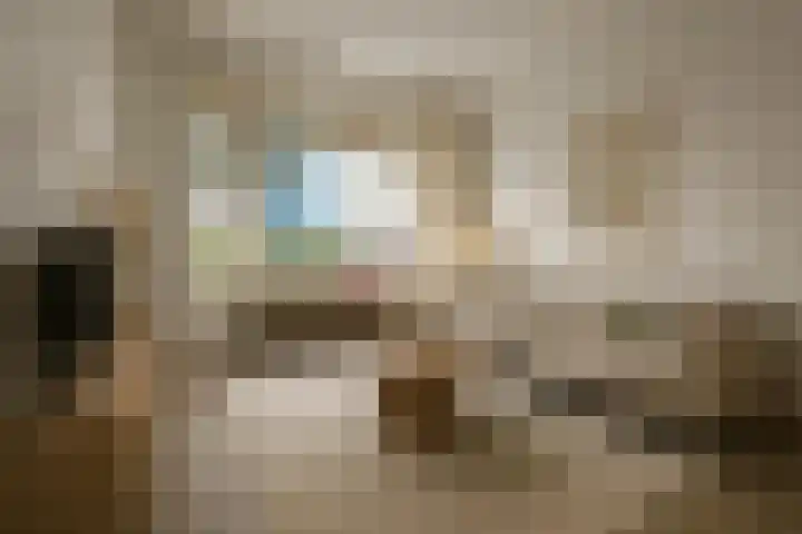 Hoornsediep 7 Groningen thumbnail 6