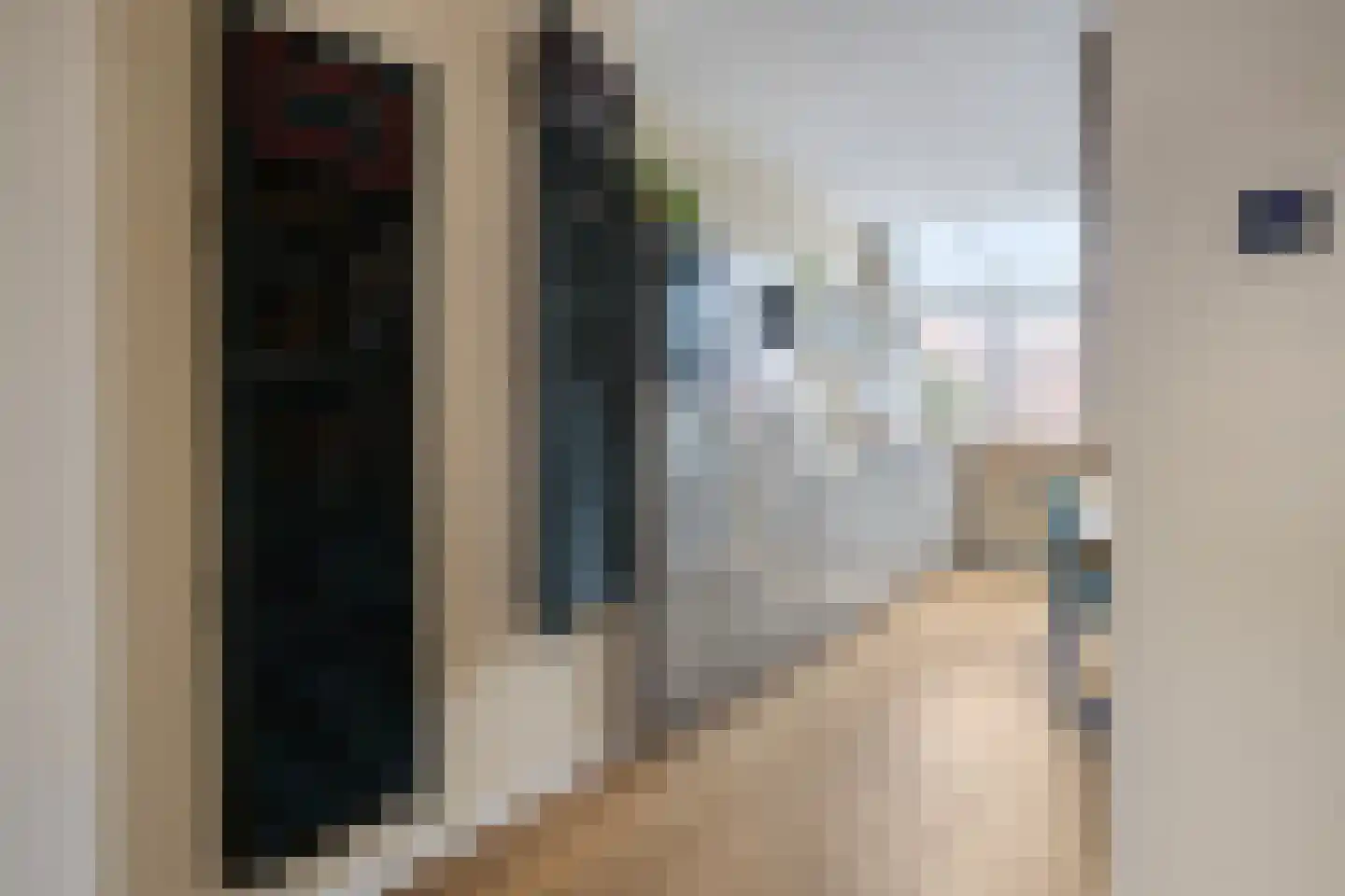 Hoornsediep 77 b Groningen thumbnail 10