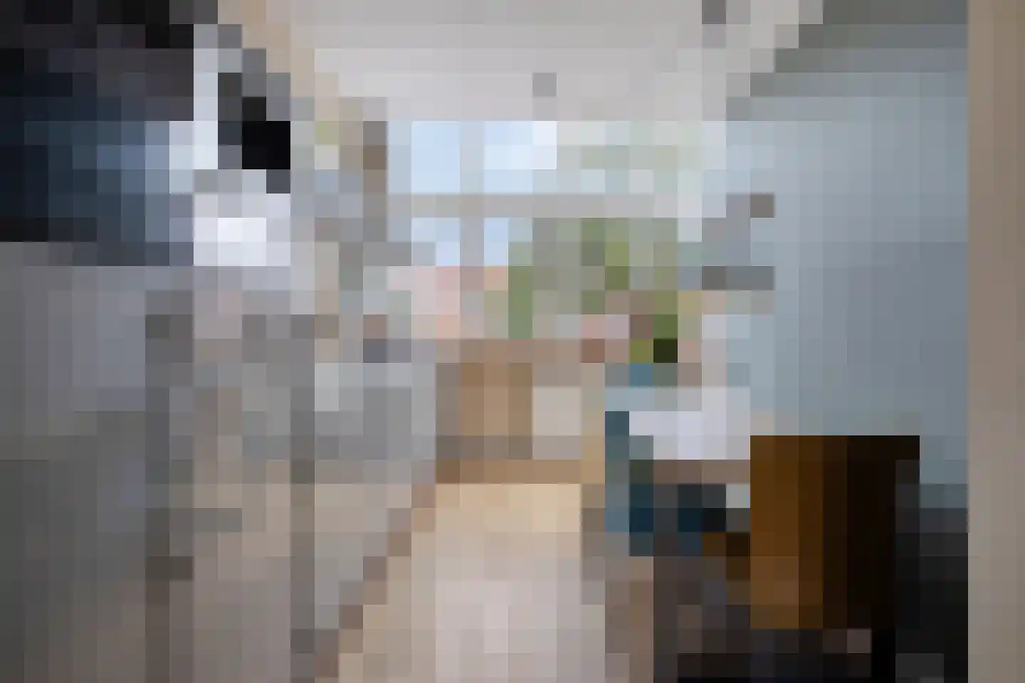 Hoornsediep 77 b Groningen thumbnail 11