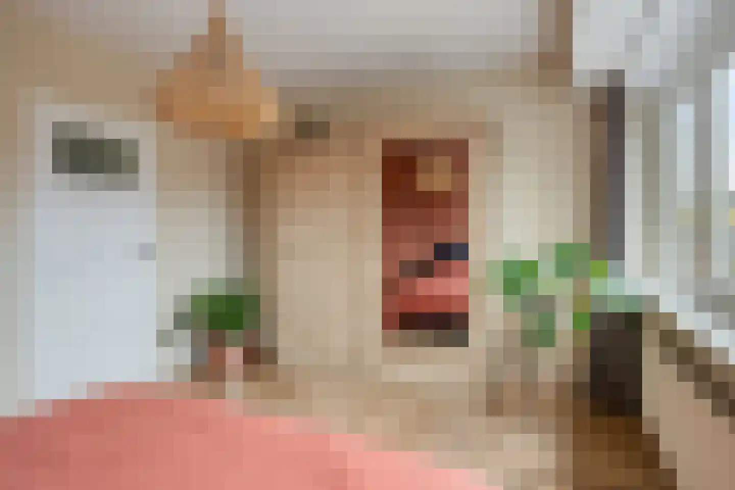 Hoornsediep 77 b Groningen thumbnail 24