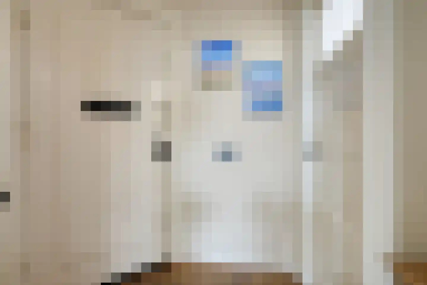 Hoornsediep 77 b Groningen thumbnail 5