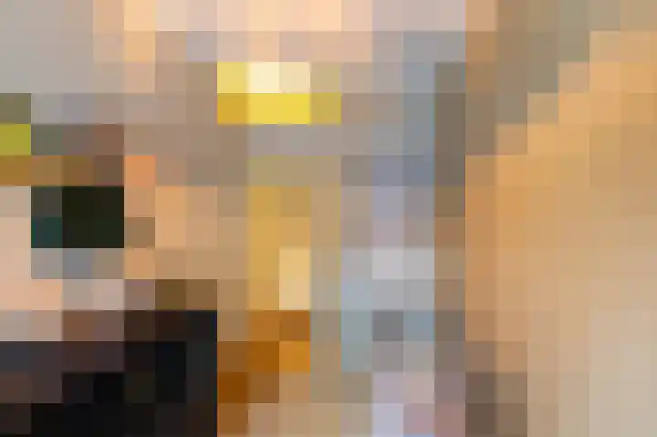 Hoornsediep 79 Groningen thumbnail 16