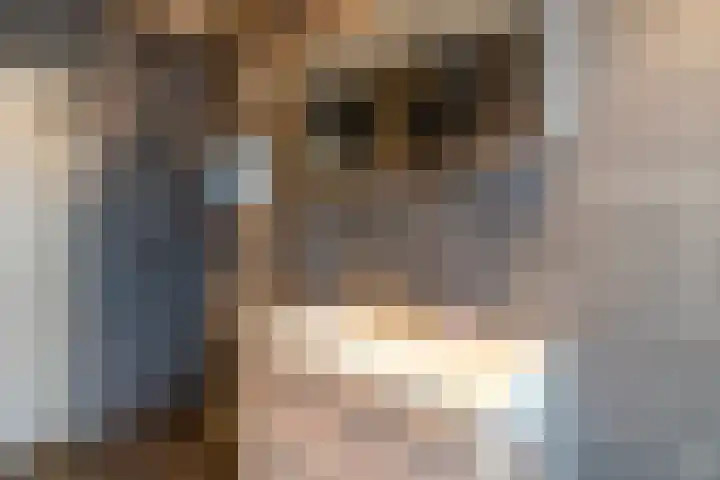 Hoornsediep 79 Groningen thumbnail 18
